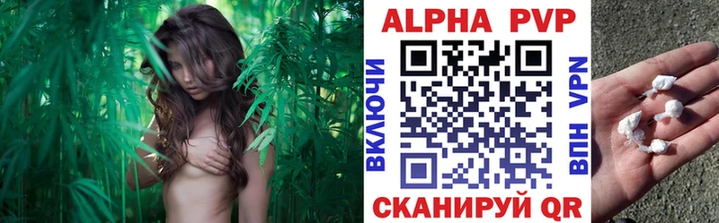 shop как зайти  Грайворон  Alpha-PVP VHQ  закладка 