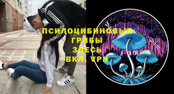 МДПВ Верея