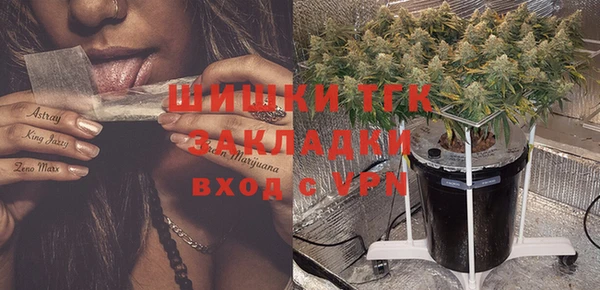 молекула духа Богородск