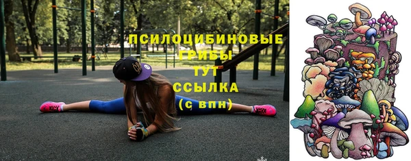МДПВ Верея