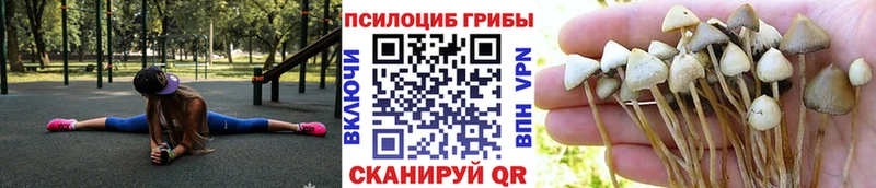 купить наркотик  Грайворон  Галлюциногенные грибы мицелий 